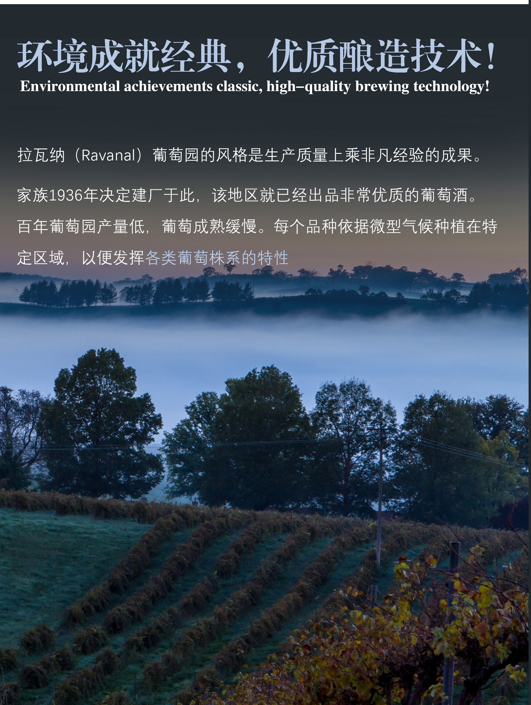 金色山(shān)丘紅葡萄酒