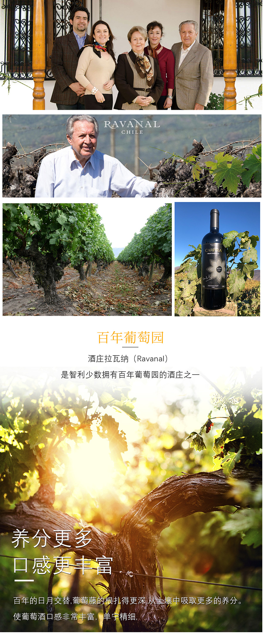 碧雅特級珍藏紅葡萄酒